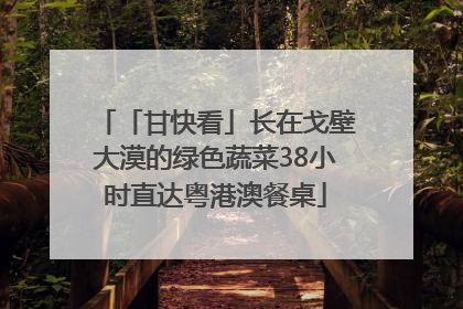 「甘快看」长在戈壁大漠的绿色蔬菜38小时直达粤港澳餐桌
