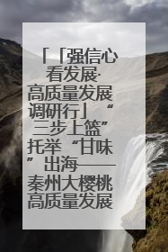 「强信心 看发展·高质量发展调研行」“三步上篮”托举“甘味”出海——秦州大樱桃高质量发展动作分解