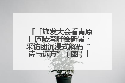 「旅发大会看青原」庐陵湾畔绘新景：采访团沉浸式解码“诗与远方”（图）