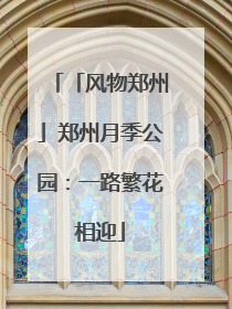 「风物郑州」郑州月季公园：一路繁花相迎