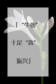 “牛劲”十足“犇”振兴
