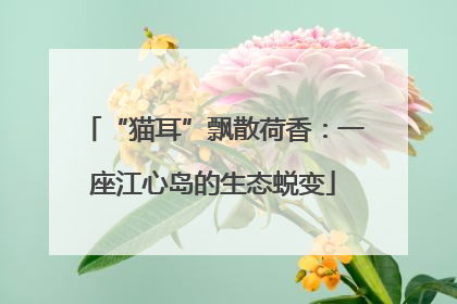 “猫耳”飘散荷香：一座江心岛的生态蜕变