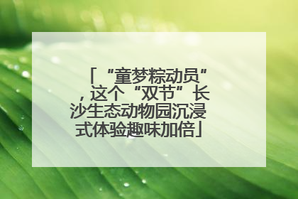 “童梦粽动员”，这个“双节”长沙生态动物园沉浸式体验趣味加倍