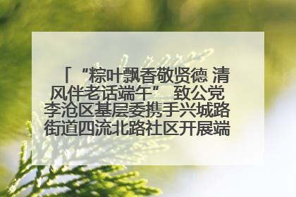 “粽叶飘香敬贤德 清风伴老话端午” 致公党李沧区基层委携手兴城路街道四流北路社区开展端午节主题活动