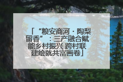 “粮安商河・陶梨留香”：三产融合赋能乡村振兴 跨村联建绘就共富画卷