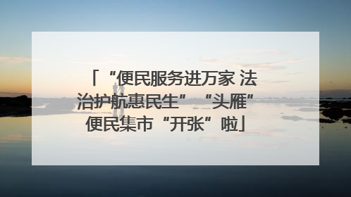 “便民服务进万家 法治护航惠民生”“头雁”便民集市“开张”啦