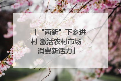 “两新”下乡进村 激活农村市场消费新活力