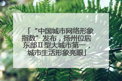 “中国城市网络形象指数”发布，扬州位居东部Ⅱ型大城市第一，城市生活形象亮眼