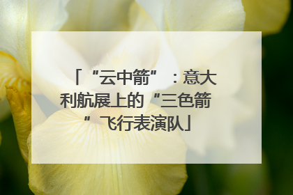 “云中箭”：意大利航展上的“三色箭”飞行表演队