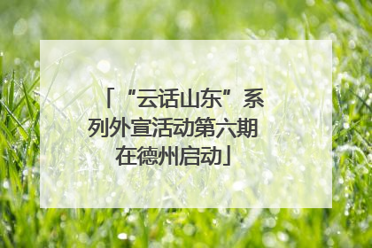 “云话山东”系列外宣活动第六期在德州启动