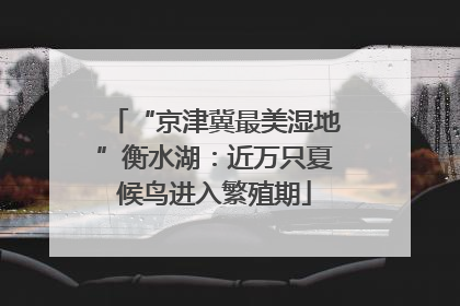 “京津冀最美湿地”衡水湖：近万只夏候鸟进入繁殖期