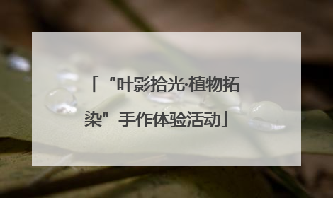 “叶影拾光·植物拓染”手作体验活动