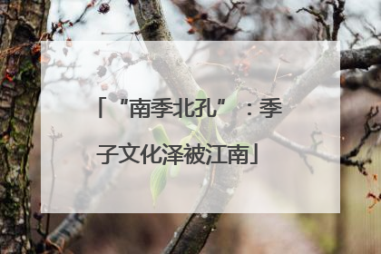 “南季北孔”：季子文化泽被江南