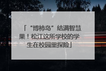 “博柿岛”结满智慧果！松江这所学校的学生在校园里探险