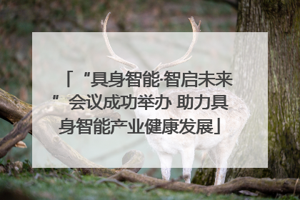 “具身智能·智启未来”会议成功举办 助力具身智能产业健康发展