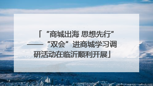“商城出海 思想先行”——“双会”进商城学习调研活动在临沂顺利开展