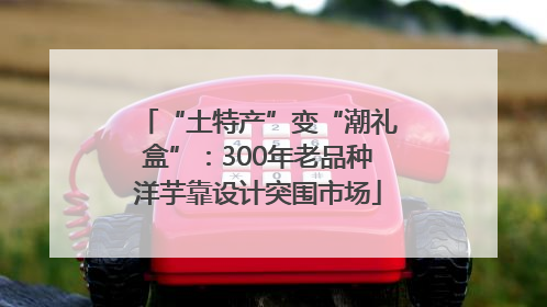 “土特产”变“潮礼盒”：300年老品种洋芋靠设计突围市场