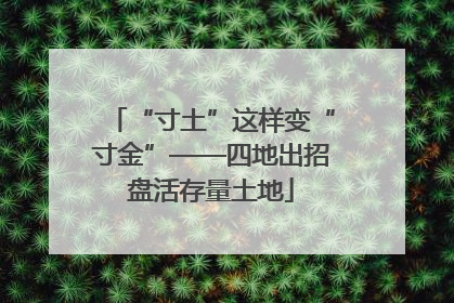 “寸土”这样变“寸金”——四地出招盘活存量土地