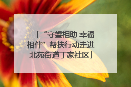 “守望相助 幸福相伴”帮扶行动走进北苑街道丁家社区