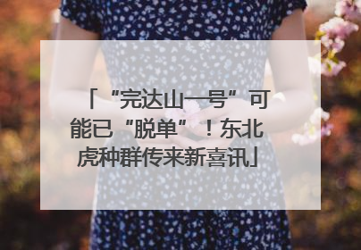 “完达山一号”可能已“脱单”！东北虎种群传来新喜讯