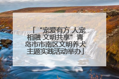 “宠爱有方 人宠相融 文明共享”青岛市市南区文明养犬主题实践活动举办