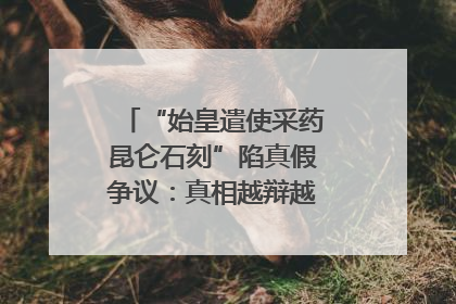 “始皇遣使采药昆仑石刻”陷真假争议：真相越辩越明｜新京报专栏