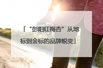 “彭阳红梅杏”从地标到金标的品牌蜕变