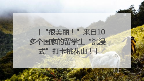 “很美丽！”来自10多个国家的留学生“沉浸式”打卡桃花山！
