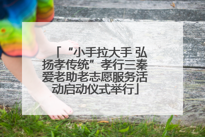 “小手拉大手 弘扬孝传统”孝行三秦爱老助老志愿服务活动启动仪式举行