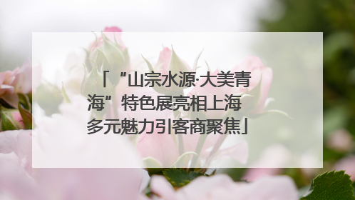 “山宗水源·大美青海”特色展亮相上海 多元魅力引客商聚焦