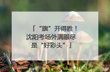 “旗”开得胜！沈阳考场外满眼尽是“好彩头”