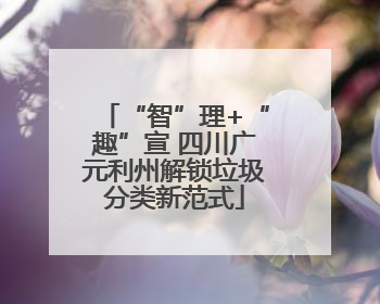 “智”理+“趣”宣 四川广元利州解锁垃圾分类新范式