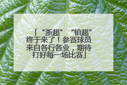 “浙超”“镇超”终于来了！参赛球员来自各行各业，期待打好每一场比赛