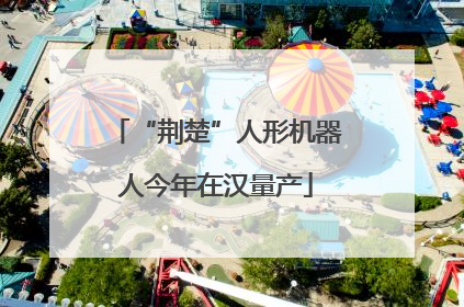 “荆楚”人形机器人今年在汉量产