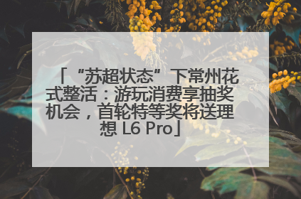 “苏超状态”下常州花式整活：游玩消费享抽奖机会，首轮特等奖将送理想 L6 Pro