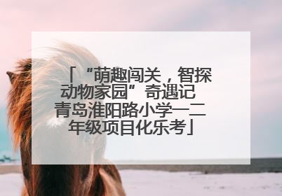 “萌趣闯关，智探动物家园”奇遇记 青岛淮阳路小学一二年级项目化乐考