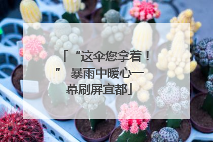 “这伞您拿着！” 暴雨中暖心一幕刷屏宜都