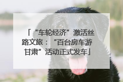 “车轮经济”激活丝路文旅：“百台房车游甘肃”活动正式发车