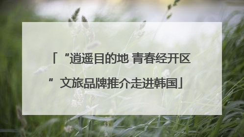 “逍遥目的地 青春经开区”文旅品牌推介走进韩国