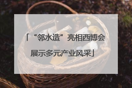 “邻水造”亮相西博会 展示多元产业风采