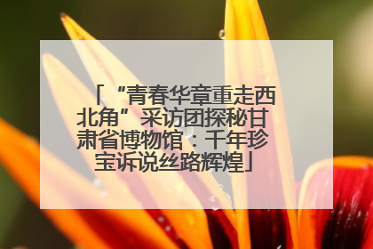 “青春华章重走西北角”采访团探秘甘肃省博物馆：千年珍宝诉说丝路辉煌