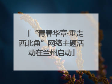 “青春华章·重走西北角”网络主题活动在兰州启动
