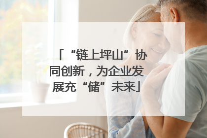 “链上坪山”协同创新，为企业发展充“储”未来