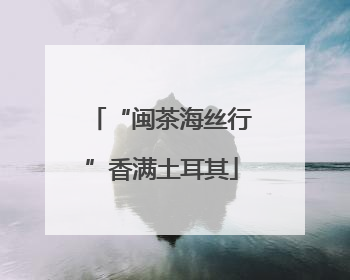 “闽茶海丝行”香满土耳其