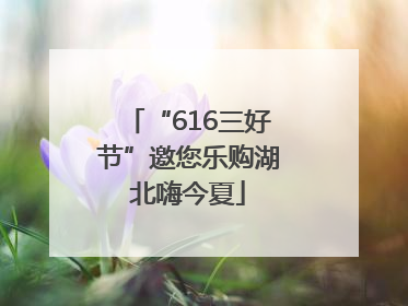 “616三好节”邀您乐购湖北嗨今夏