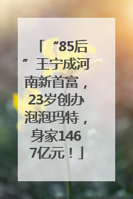“85后”王宁成河南新首富，23岁创办泡泡玛特，身家1467亿元！
