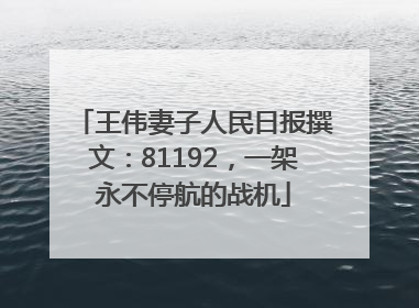 王伟妻子人民日报撰文：81192，一架永不停航的战机