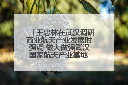 王忠林在武汉调研商业航天产业发展时强调 做大做强武汉国家航天产业基地 打造具有全国影响力的“中国星谷”