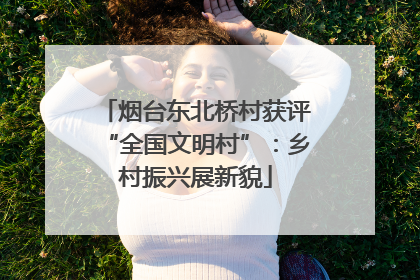 烟台东北桥村获评“全国文明村”：乡村振兴展新貌