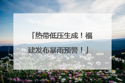 热带低压生成！福建发布暴雨预警！